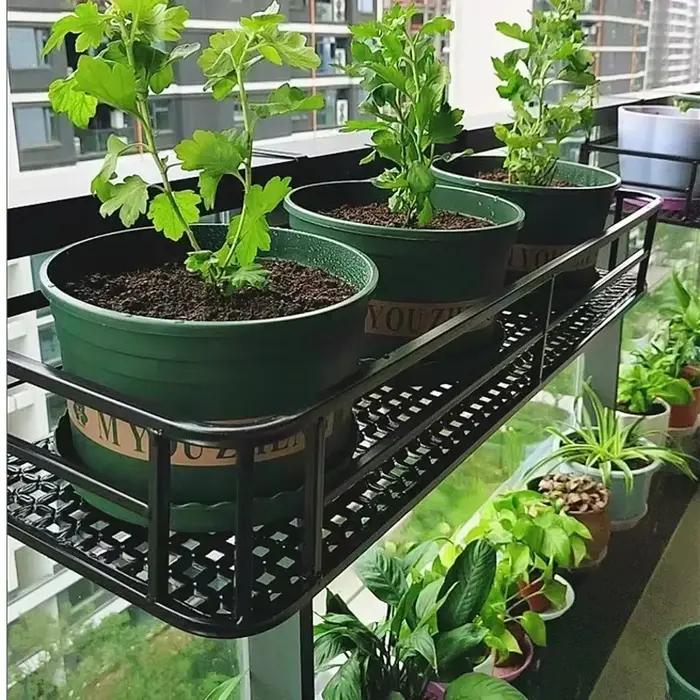 Support de fleurs de Style européen, organisateur de Rail de balcon d'art en fer extensible, support