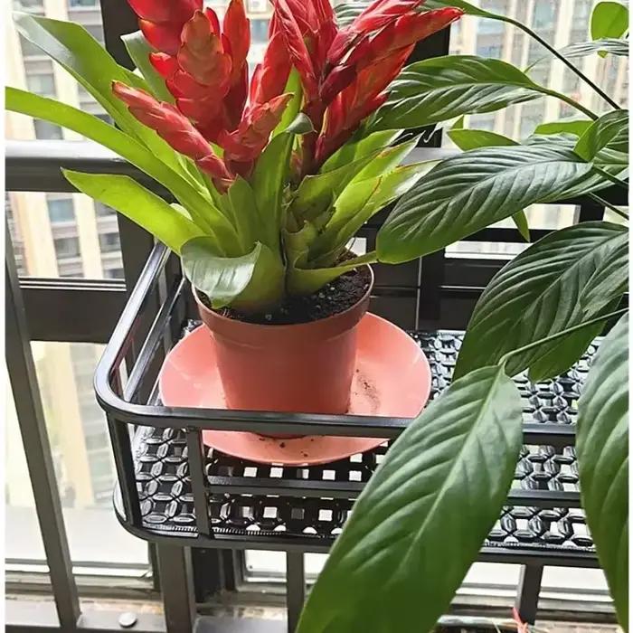 Support de fleurs de style européen élégant, rail de balcon d'art en fer extensible, support de pot 