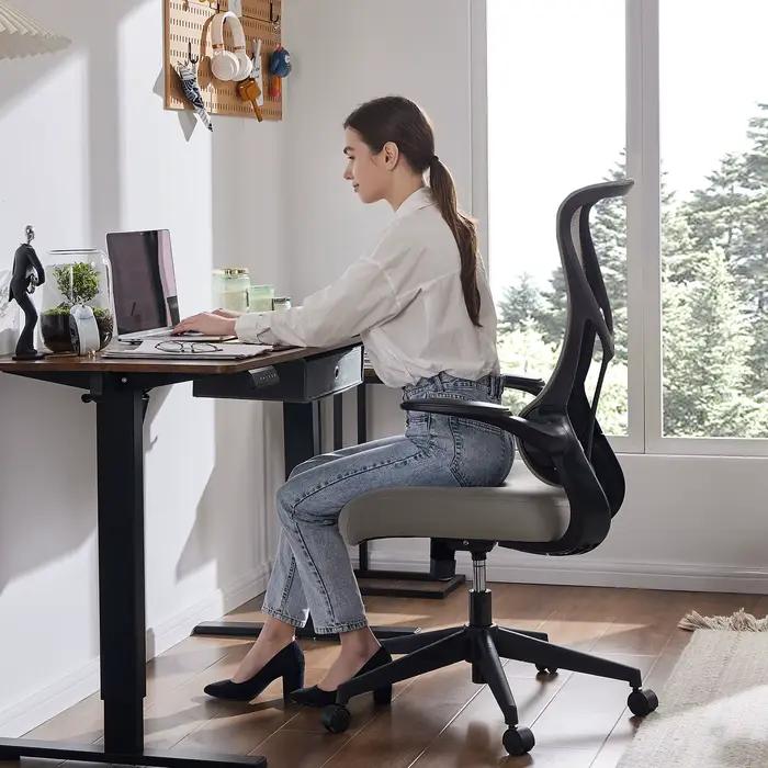 JIAN-Chaise de Bureau Ergonomique avec Support Lombaire en Maille, à Dossier Haut, pour Ordinateur, 
