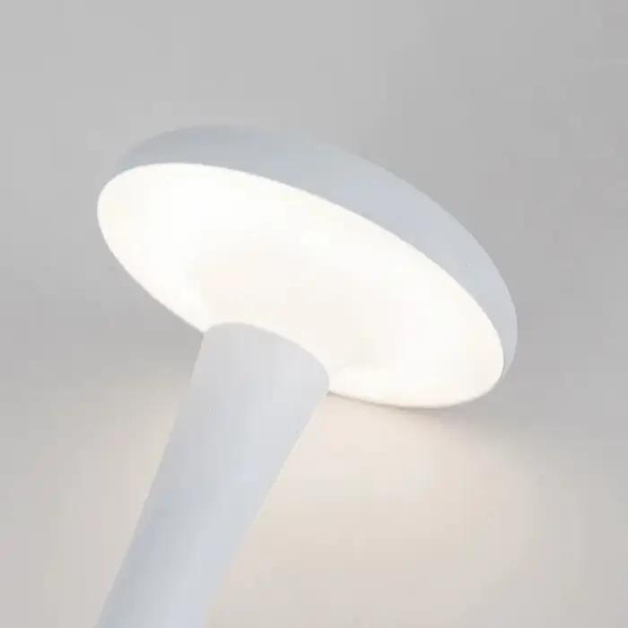 Lampe de Table champignon