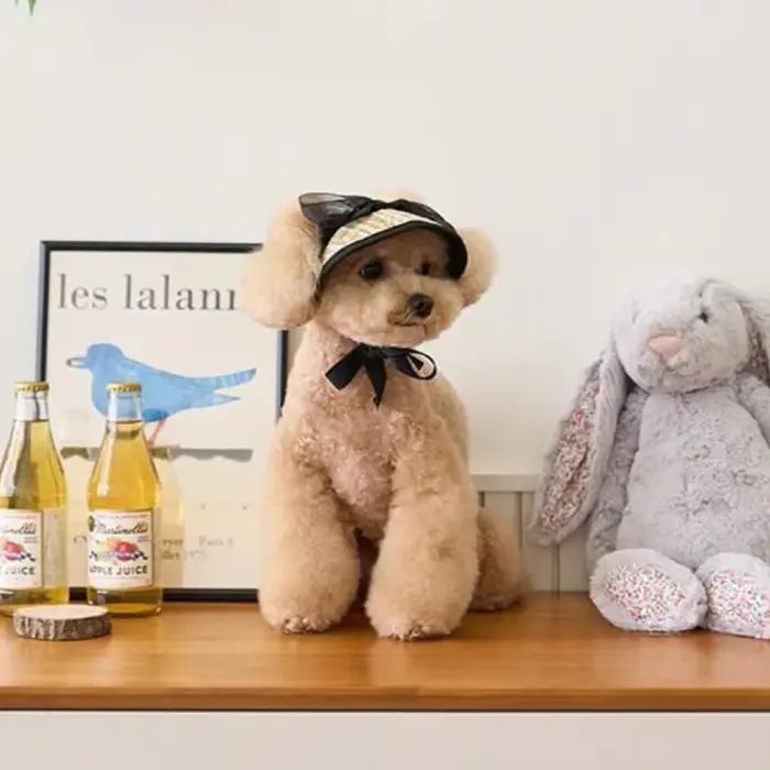 Chapeau de paille en dentelle française pour chien, accessoires décoratifs élégants pour animaux de compagnie, crème solaire d'été, robe Lolita, ours en peluche