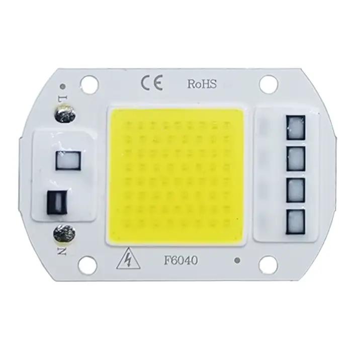 COB lampe à LED puce AC 220V LED ampoule 10W 20W 30W 50W IP65 haute puissance Smart IC bricolage projecteur